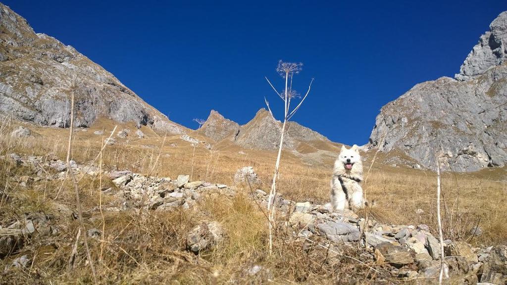 Вілла Bezgova Hisica Бовец Екстер'єр фото