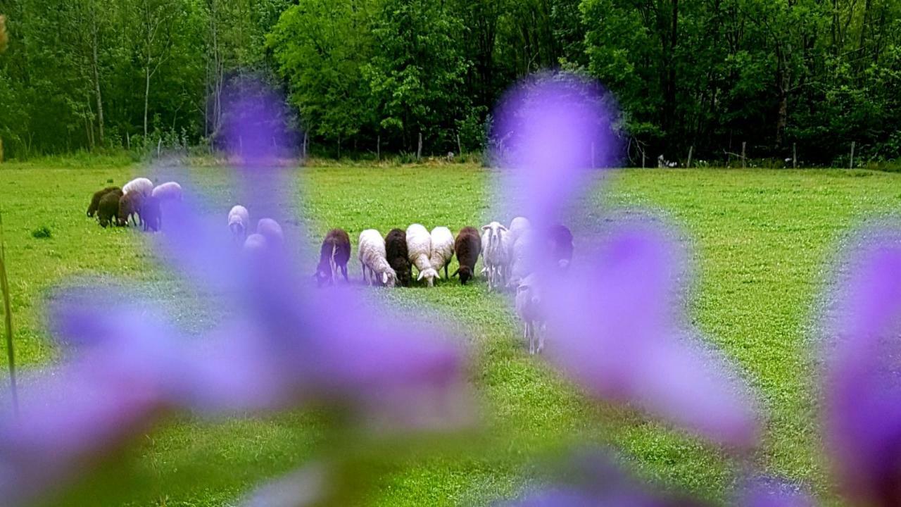 Вілла Bezgova Hisica Бовец Екстер'єр фото